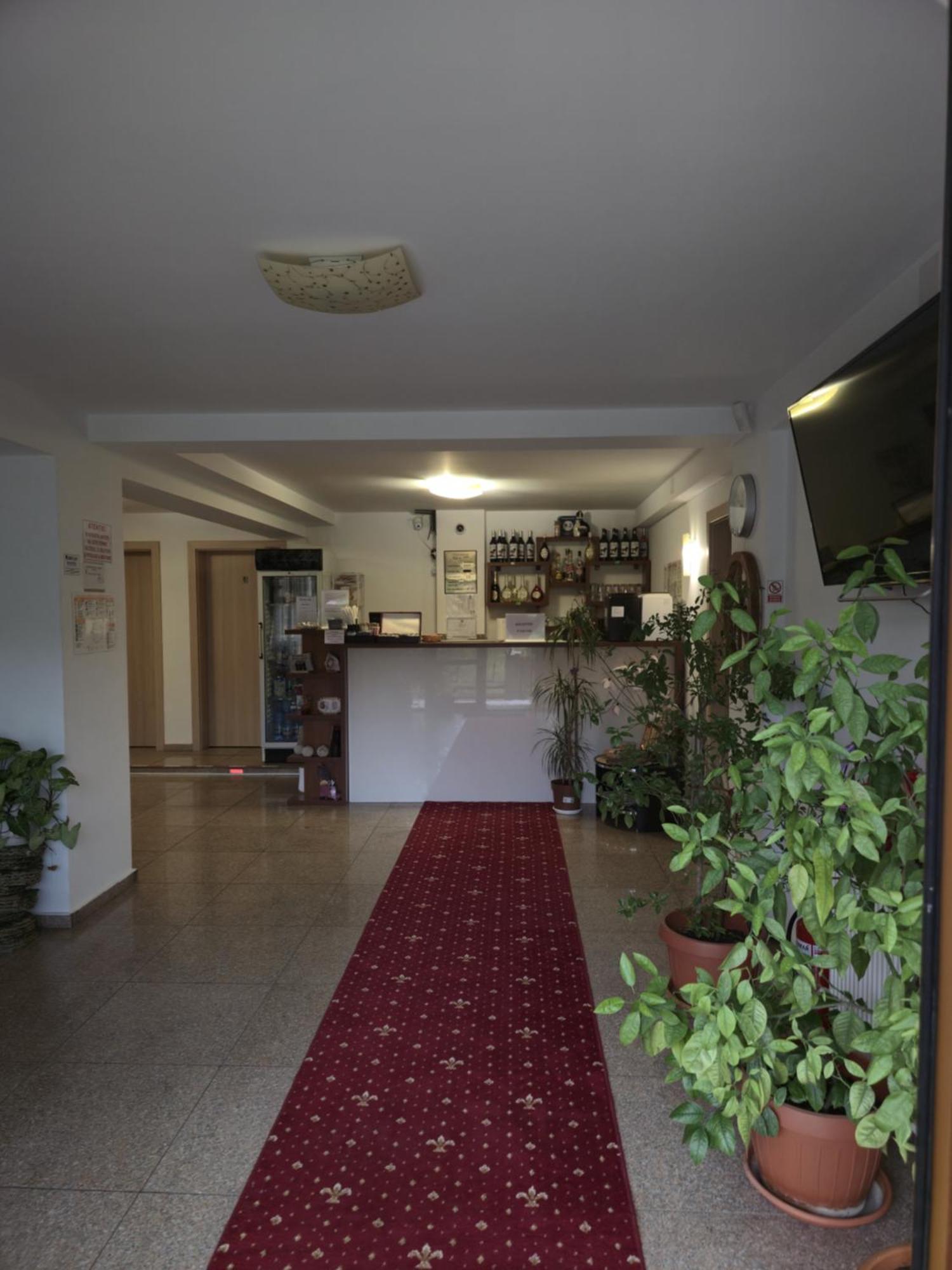 Pensiunea Alex Cheia  Buitenkant foto