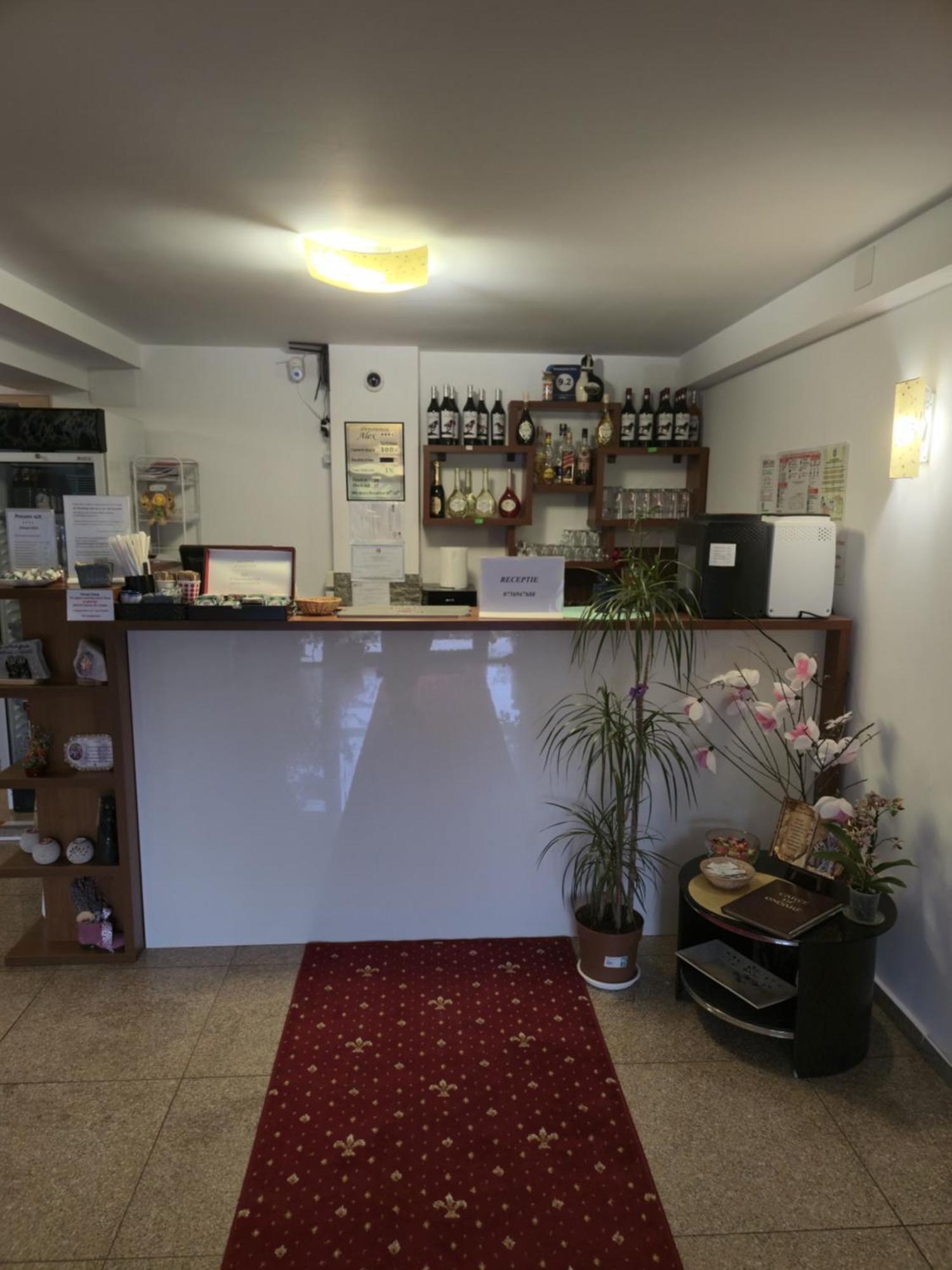 Pensiunea Alex Cheia  Buitenkant foto